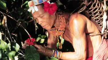 Sumatra, l'empreinte des hommes-fleurs