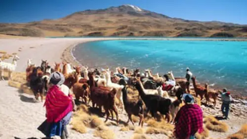 Dans la nature avec Stéphane Peyron E05 L'Altiplano