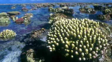 Australie, les gardiens de la Grande Barrière