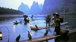 Visuel de Dans la nature avec Stéphane Peyron