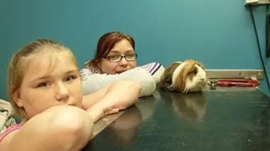 Un cochon d'Inde enrhumé