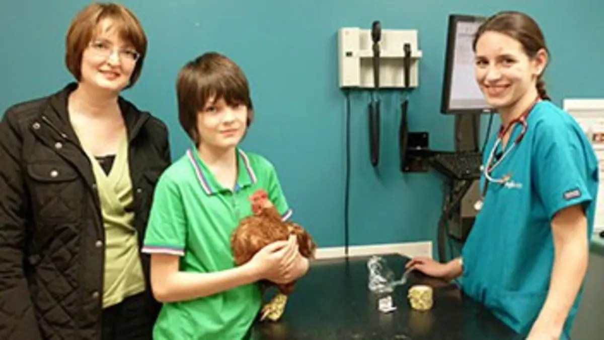 Dans la peau d'un vétérinaire E10 L'amie des poulets