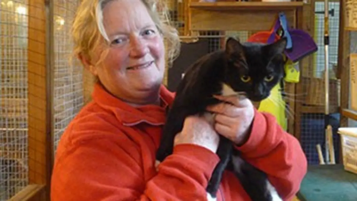 Dans la peau d'un vétérinaire E13 Un chat bagarreur