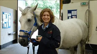 L'oeil du cheval blanc