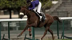 Visuel de Dans la peau de Diane 2