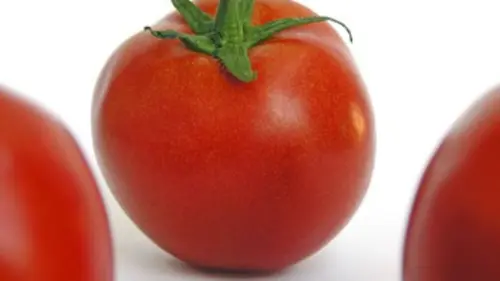 Dans le secret de nos assiettes