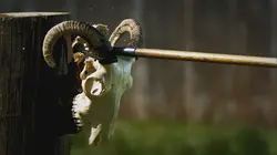 Dans le secret des bâtisseurs