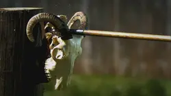 Dans le secret des bâtisseurs