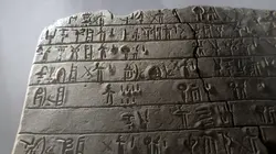 Dans le secret des codes