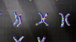 Dans le secret des codes