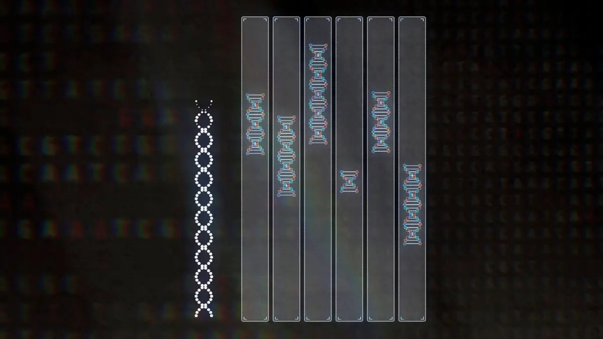 Dans le secret des codes Le code de l'humanité