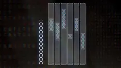 Dans le secret des codes Le code de l'humanité