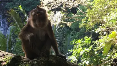 Dans le secret des sources S01E03 Palawan : Philippines, la rivière mystérieuse