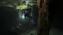 Dans le secret des villes