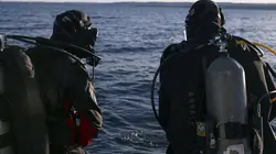 Dans le secret des villes