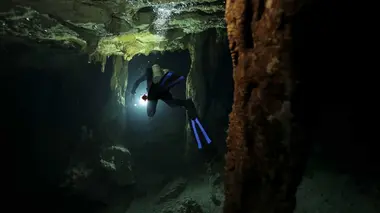 L'armée souterraine