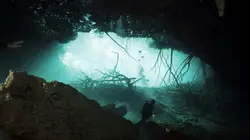 Dans le secret des villes