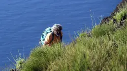 Dans le sillage d'Ulysse avec Sylvain Tesson L'éternel retour