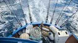 Dans le sillage d'Ulysse avec Sylvain Tesson La colère d'Hélios