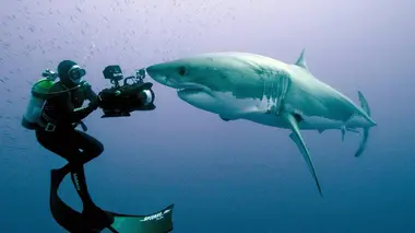 Les coulisses d'un tournage