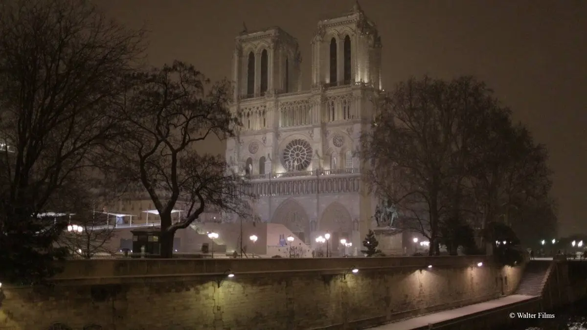 Dans le ventre de l'orgue de Notre-Dame
