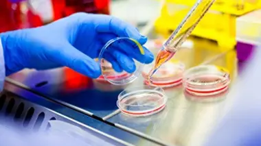 Cambrioleurs, traque et ADN