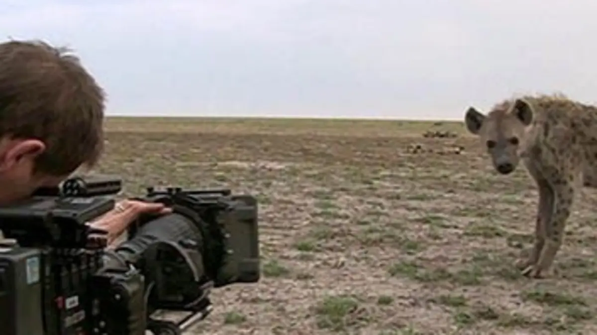 Dans les coulisses de «La Vie sauvage»