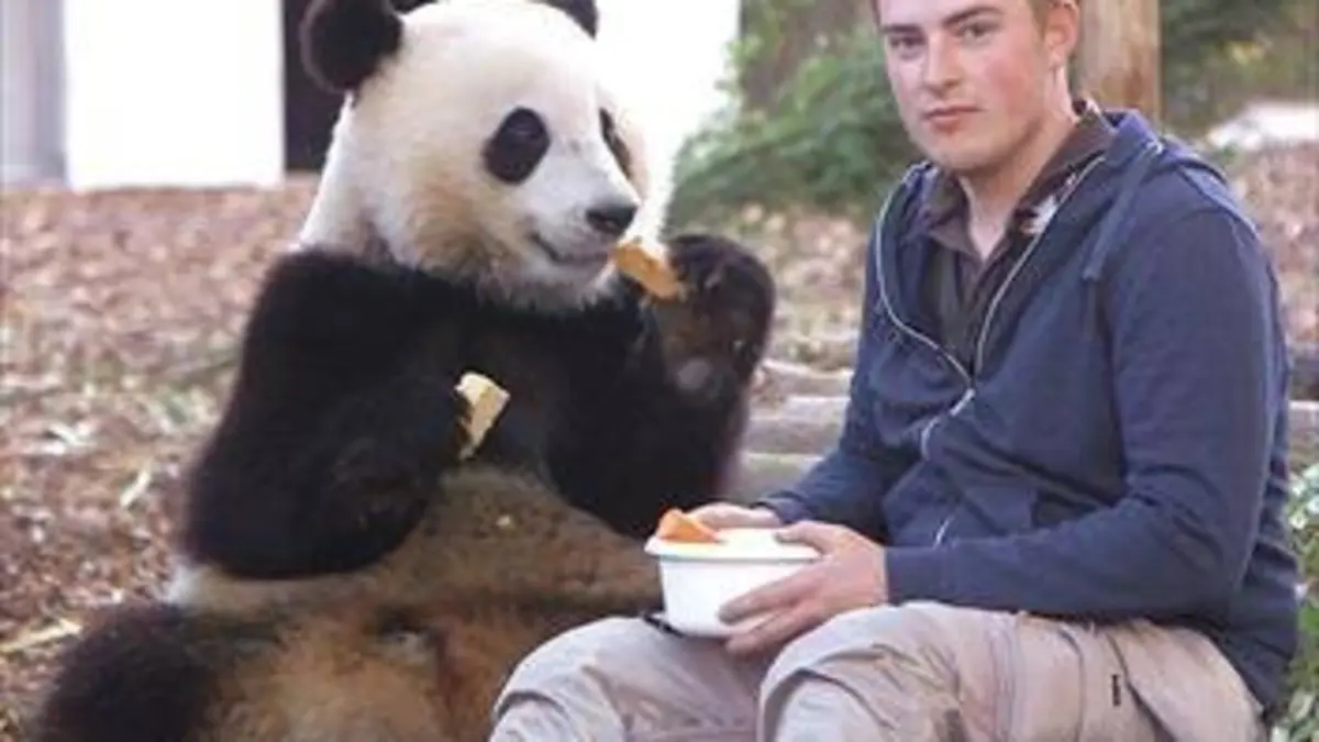 Dans les coulisses des zoos les plus extraordinaires d'Europe