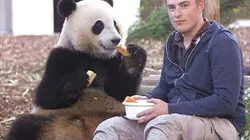Visuel de Dans les coulisses des zoos les plus extraordinaires d'Europe