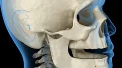 Dans les cuisines de la Préhistoire