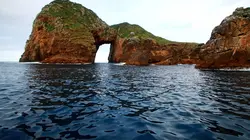 Dans les eaux bleues de Nouvelle-Zélande