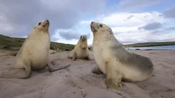 Dans les eaux bleues de Nouvelle-Zélande