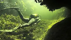 Visuel de Dans les méandres de l'Okavango