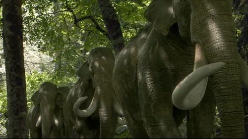 Dans les pas du mammouth géant