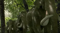 Dans les pas du mammouth géant