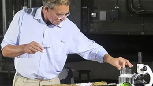 Dans les secrets de la Bible E13 Le déluge de Noé