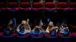 Visuel de Dans les secrets des films