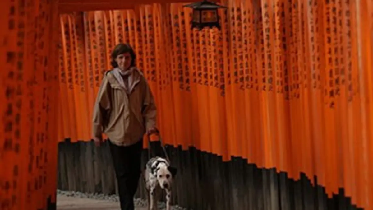 Dans tes yeux S02E31 Japon : Kyoto