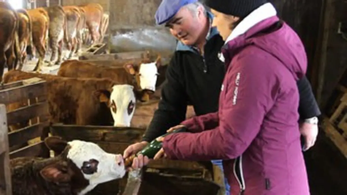 Dans tes yeux S01E33 Queyras (France)