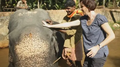 Dans tes yeux S01E38 Kerala (Inde)