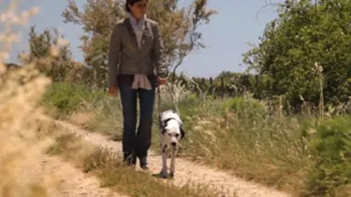 Casting Dans tes yeux S01E23 Camargue