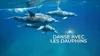 2015 • Danse avec les dauphins