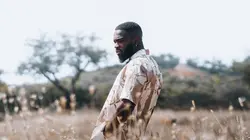 Danse avec les stars