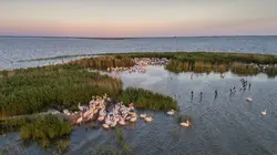 Visuel de Danube : la guerre sur l'autre rive