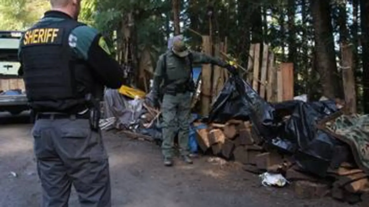 Dark Woods Justice S01E03 Le mystère s'épaissit