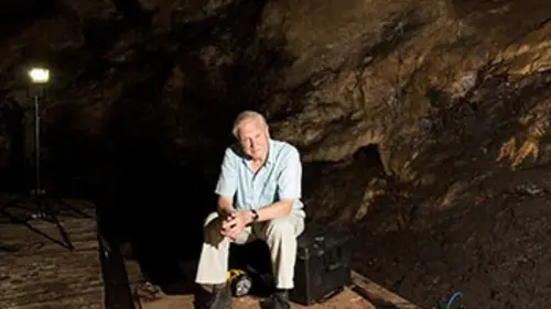 David Attenborough et les secrets des films animaliers