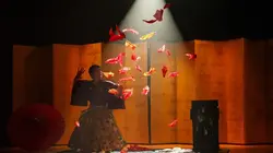 David Blaine : Aux frontières de l'impossible Japon