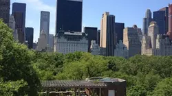 De Big Apple à Green Apple