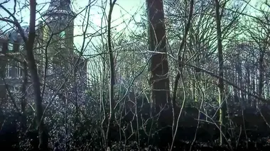 Waar is stijn saelens?