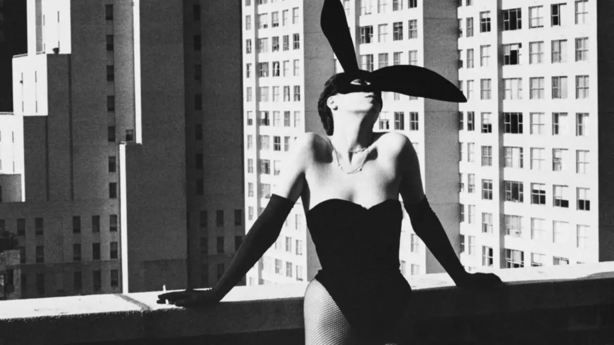 De l'art et du lapin